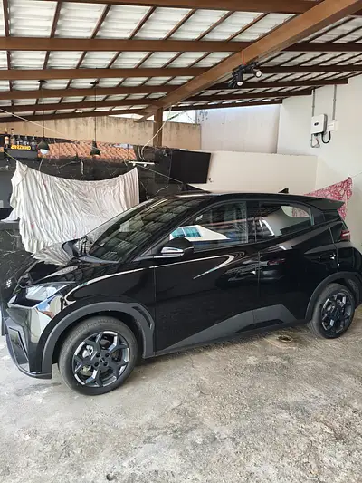 Byd dolphin Mini gl5ev